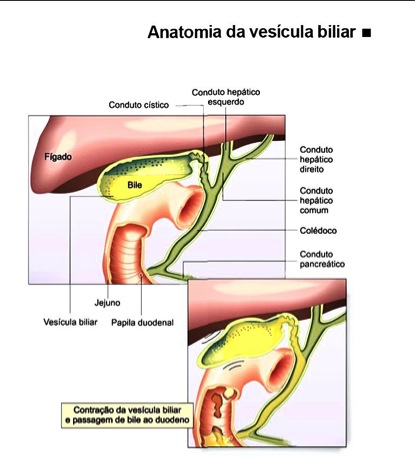 Anat